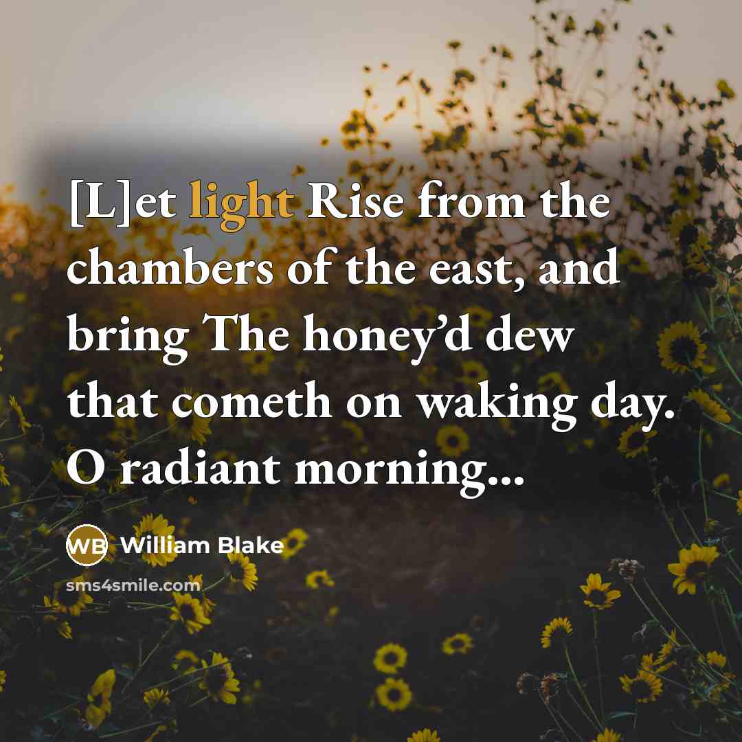 “[L]et light Rise from the chambers of the east, and…” quote by William Blake