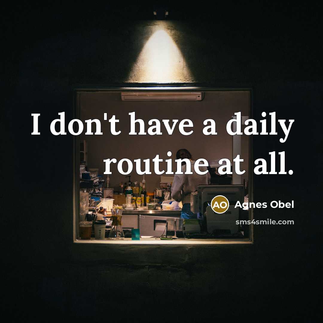 “I don't have a daily routine at all.…” quote by Agnes Obel