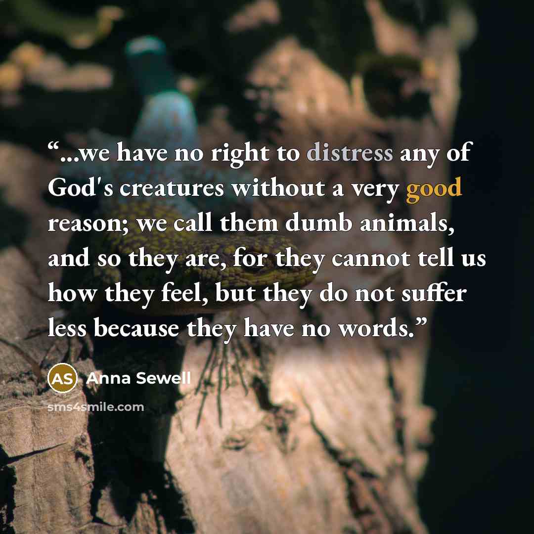 “...we have no right to distress any of God's creatures without a very good reason; we call them dumb animals, and so they are, for they cannot tell us how they feel, but they do not suffer less because they have no words.” quote by Anna Sewell