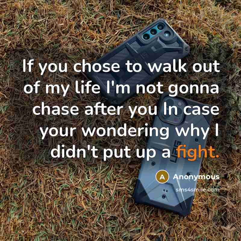 “If you chose to walk out of my life I'm not gonna chase after you In case your wondering why I didn't put up a fight.” quote by Anonymous