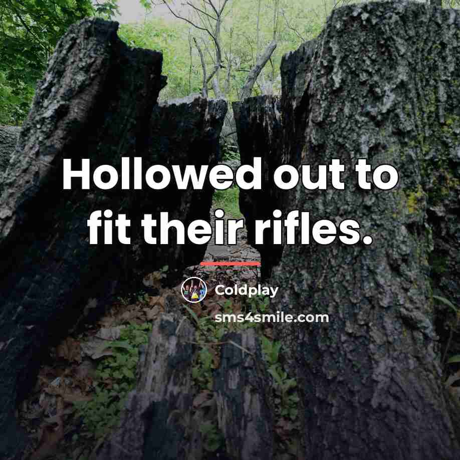 “Hollowed out to fit their rifles.…” quote by Coldplay