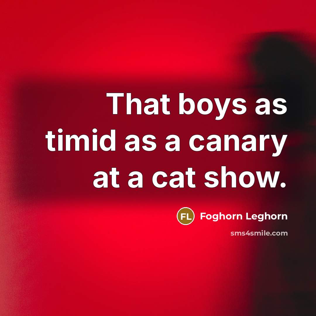 “That boys as timid as a canary at a cat show.” quote by Foghorn Leghorn
