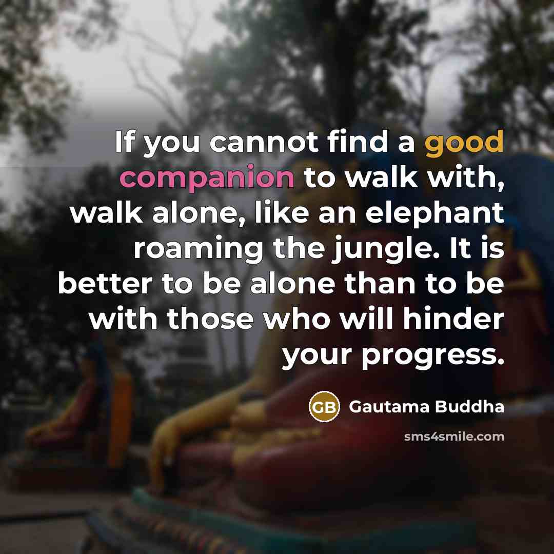 “If you cannot find a good companion to walk with,…” quote by Gautama Buddha