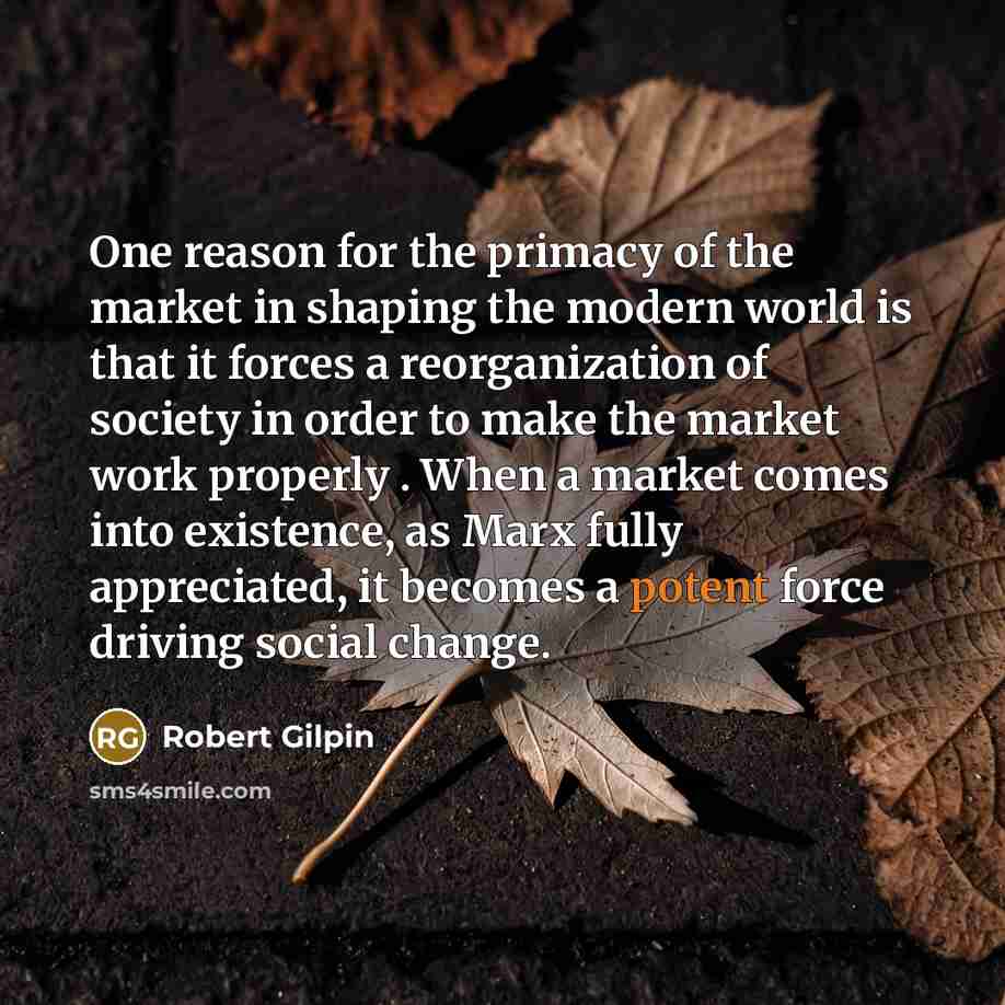 “One reason for the primacy of the market in shaping…” quote by Robert Gilpin