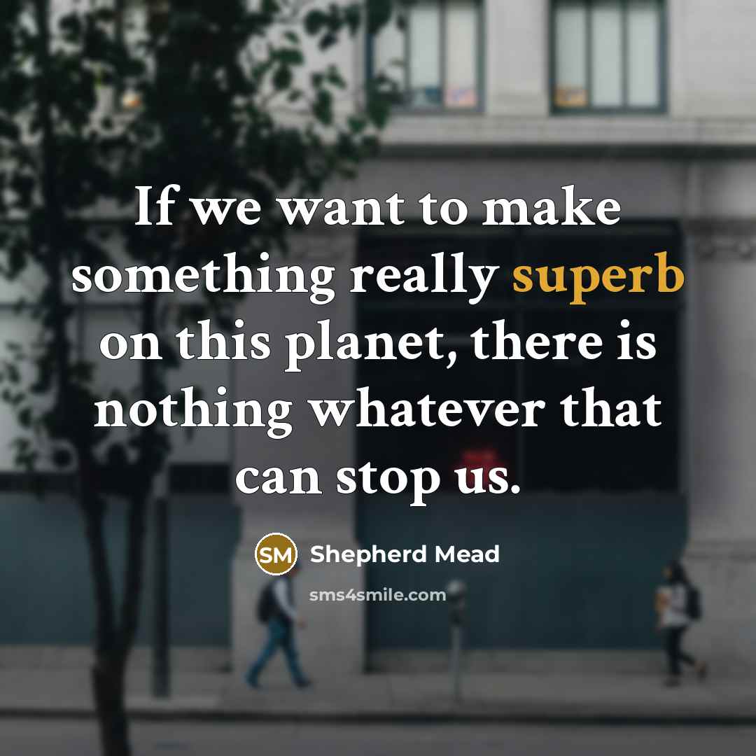 “If we want to make something really superb on this…” quote by Shepherd Mead