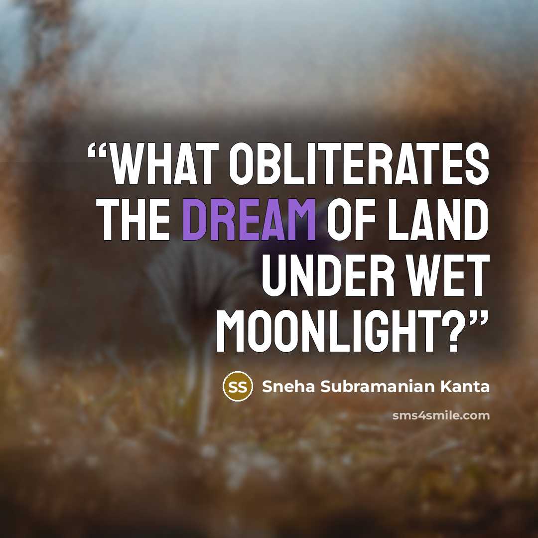 “What obliterates the dream of land under wet moonlight?” quote by Sneha Subramanian Kanta