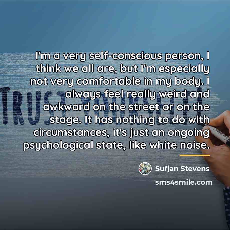 “I'm a very self-conscious person, I think we all are,…” quote by Sufjan Stevens