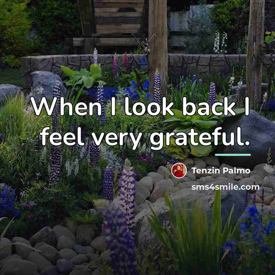 “When I look back I feel very grateful.…” quote by Tenzin Palmo