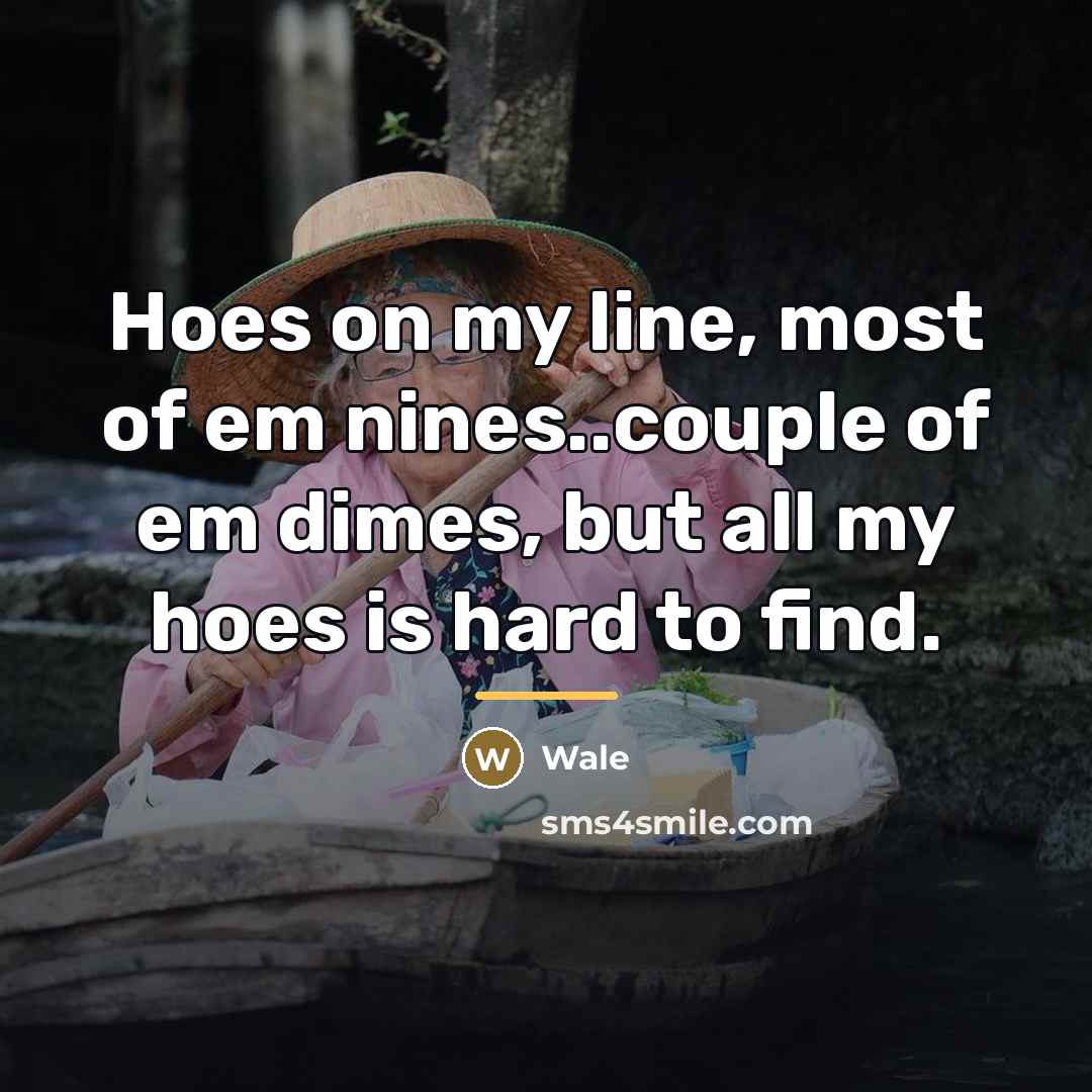 “Hoes on my line, most of em nines..couple of em…” quote by Wale