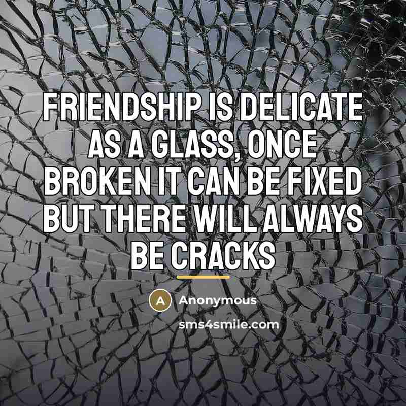 “Friendship is delicate as a glass, once broken it can…” quote by Waqas Ahmad