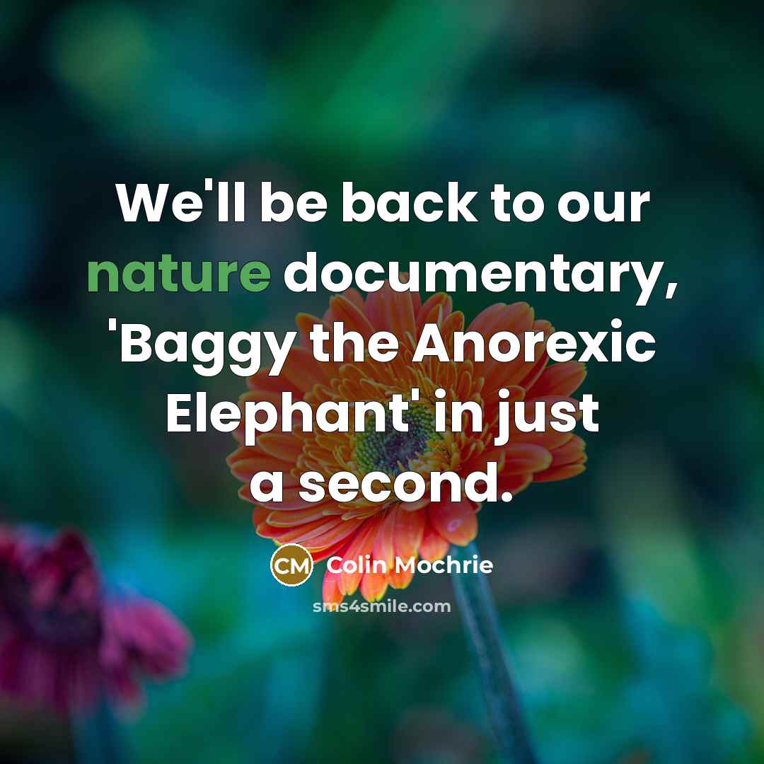 “We'll be back to our nature documentary, 'Baggy the Anorexic Elephant' in just a second.” quote by Colin Mochrie