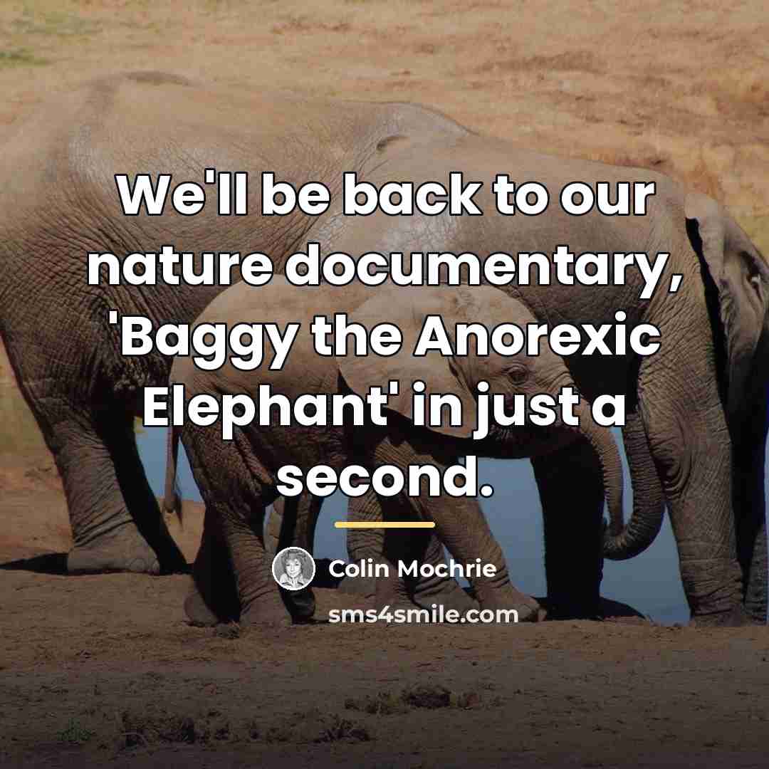 “We'll be back to our nature documentary, 'Baggy the Anorexic…” quote by Colin Mochrie