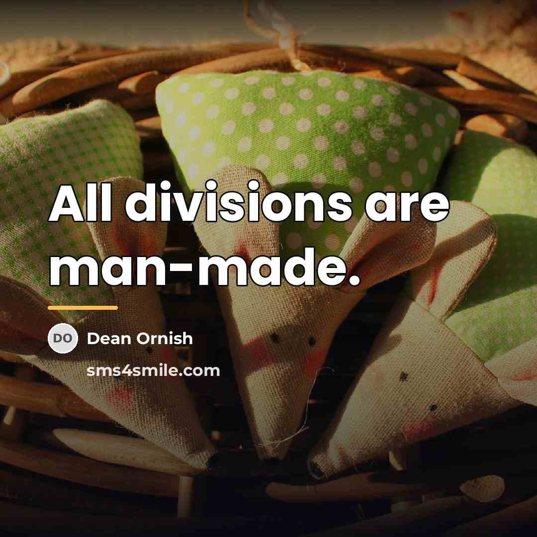 “All divisions are man-made.…” quote by Dean Ornish