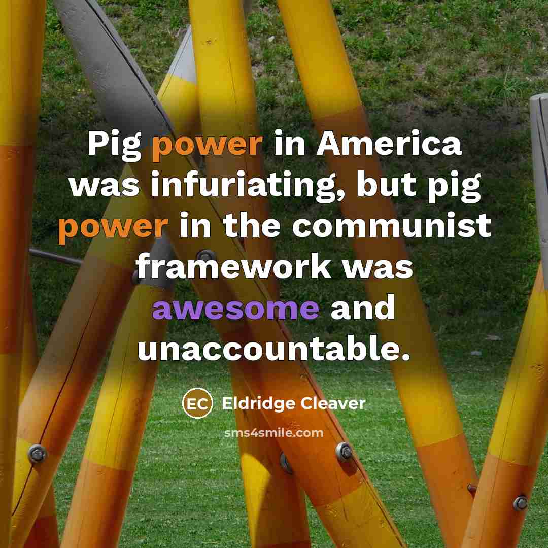 “Pig power in America was infuriating, but pig power in…” quote by Eldridge Cleaver
