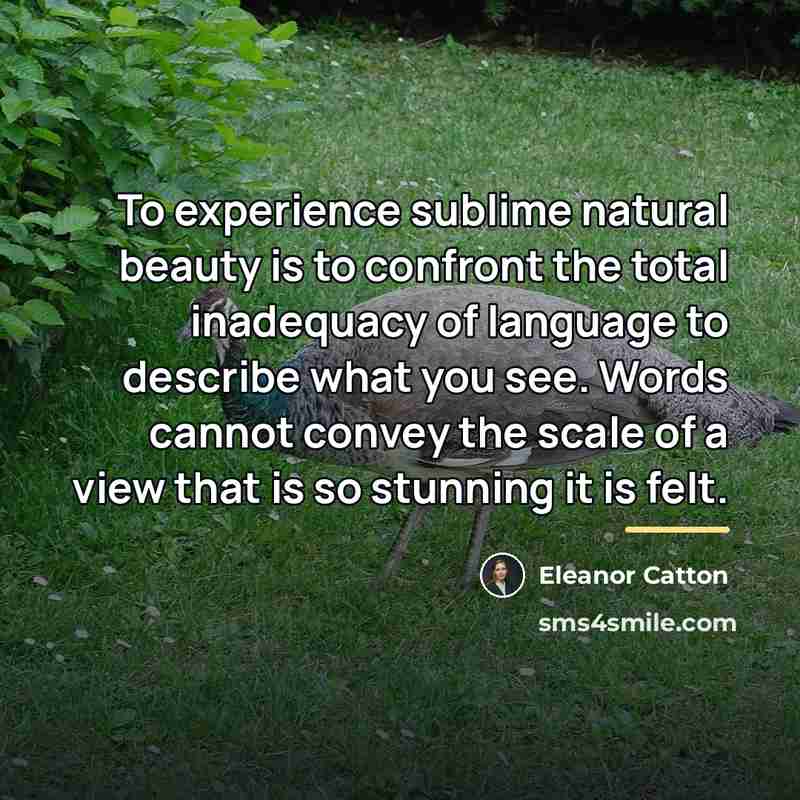 “To experience sublime natural beauty is to confront the total…” quote by Eleanor Catton
