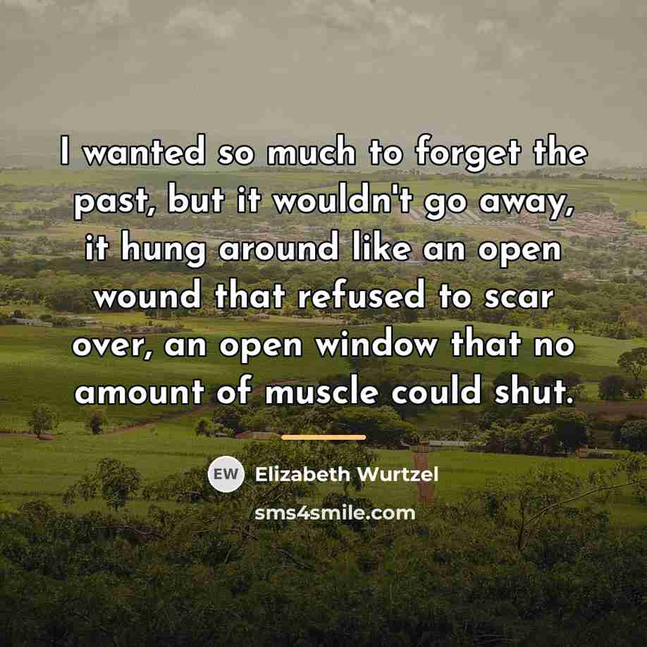 “I wanted so much to forget the past, but it…” quote by Elizabeth Wurtzel