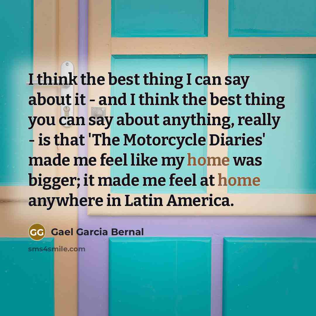 “I think the best thing I can say about it…” quote by Gael Garcia Bernal