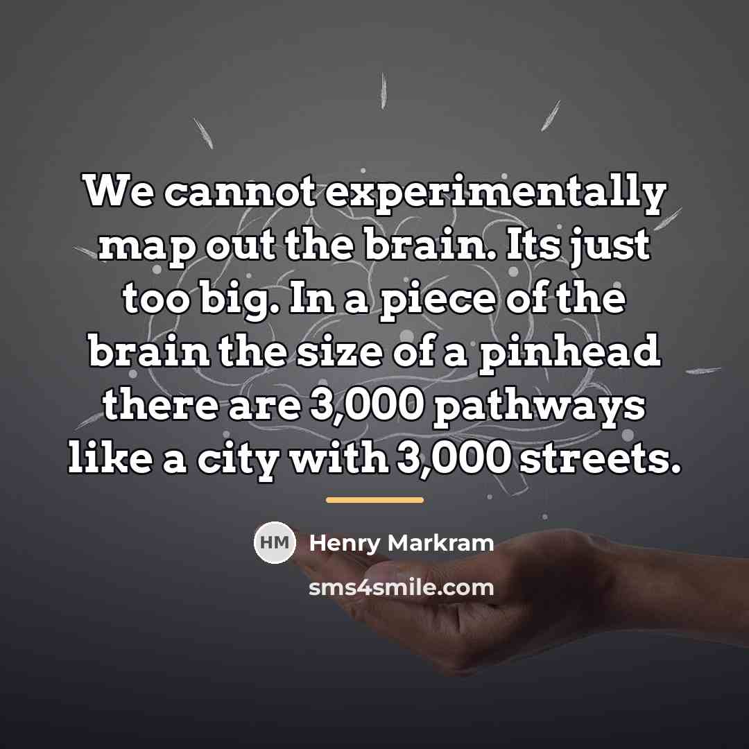 “We cannot experimentally map out the brain. Its just too…” quote by Henry Markram