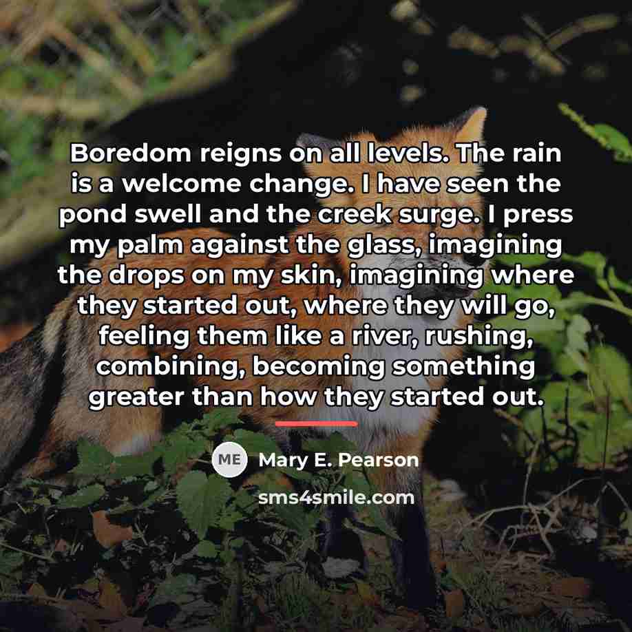 “Boredom reigns on all levels. The rain is a welcome…” quote by Mary E. Pearson