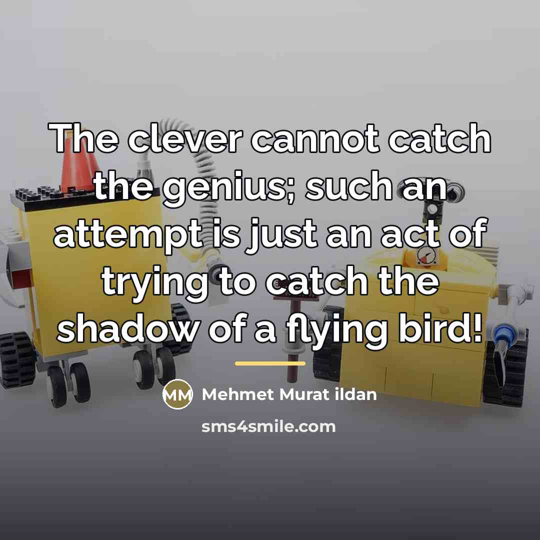 “The clever cannot catch the genius; such an attempt is…” quote by Mehmet Murat Ildan