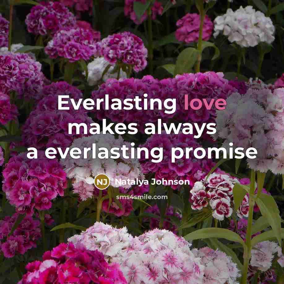 “Everlasting love makes always a everlasting promise…” quote by Natalya Johnson