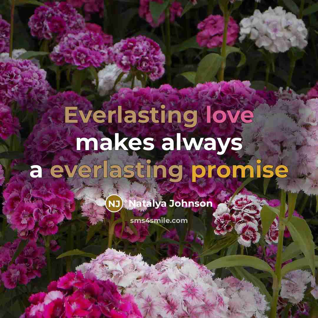 “Everlasting love makes always a everlasting promise” quote by Natalya Johnson