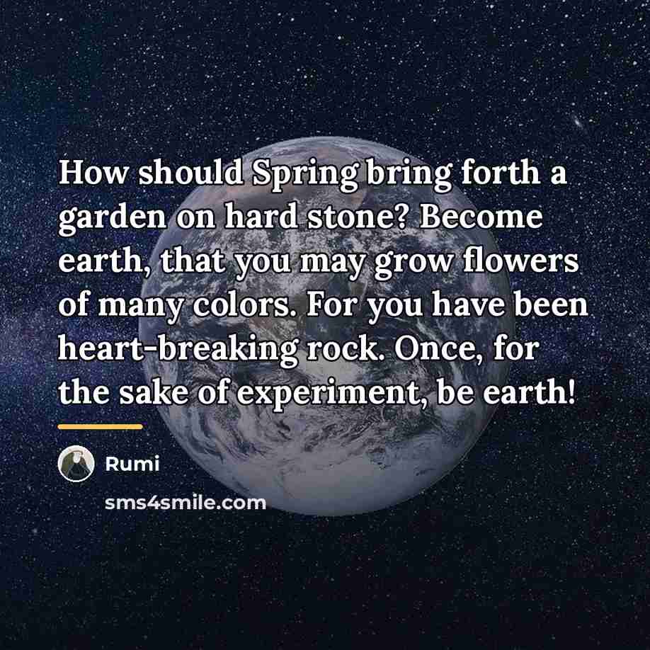 “How should Spring bring forth a garden on hard stone?…” quote by Rumi