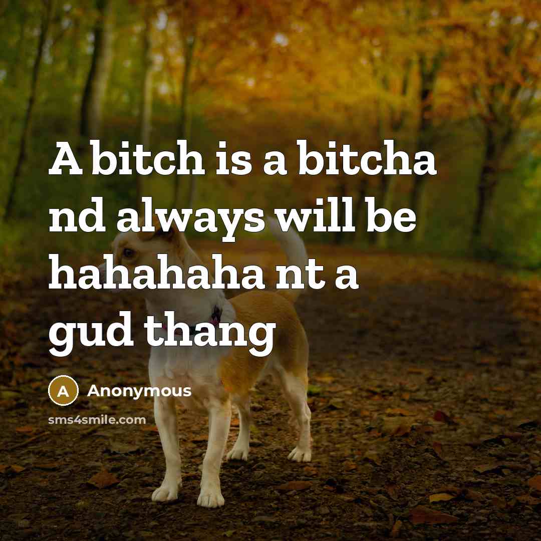 “A bitch is a bitcha nd always will be hahahaha nt a gud thang” quote by Anonymous