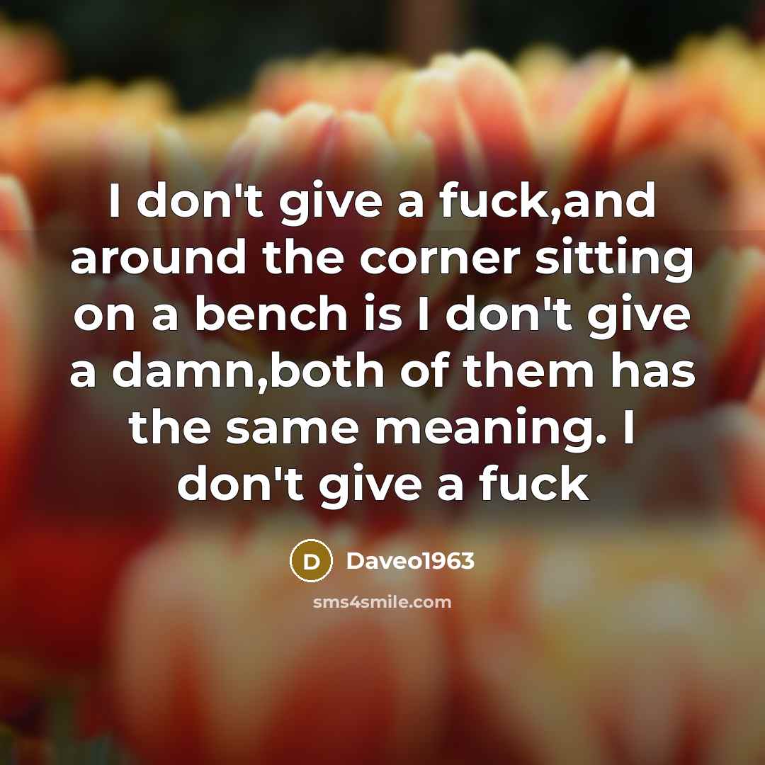 “I don't give a fuck,and around the corner sitting on…” quote by Daveo1963