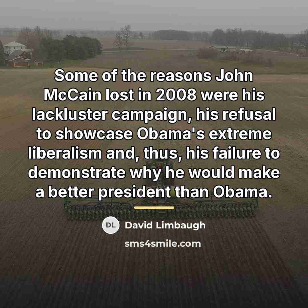 “Some of the reasons John McCain lost in 2008 were…” quote by David Limbaugh