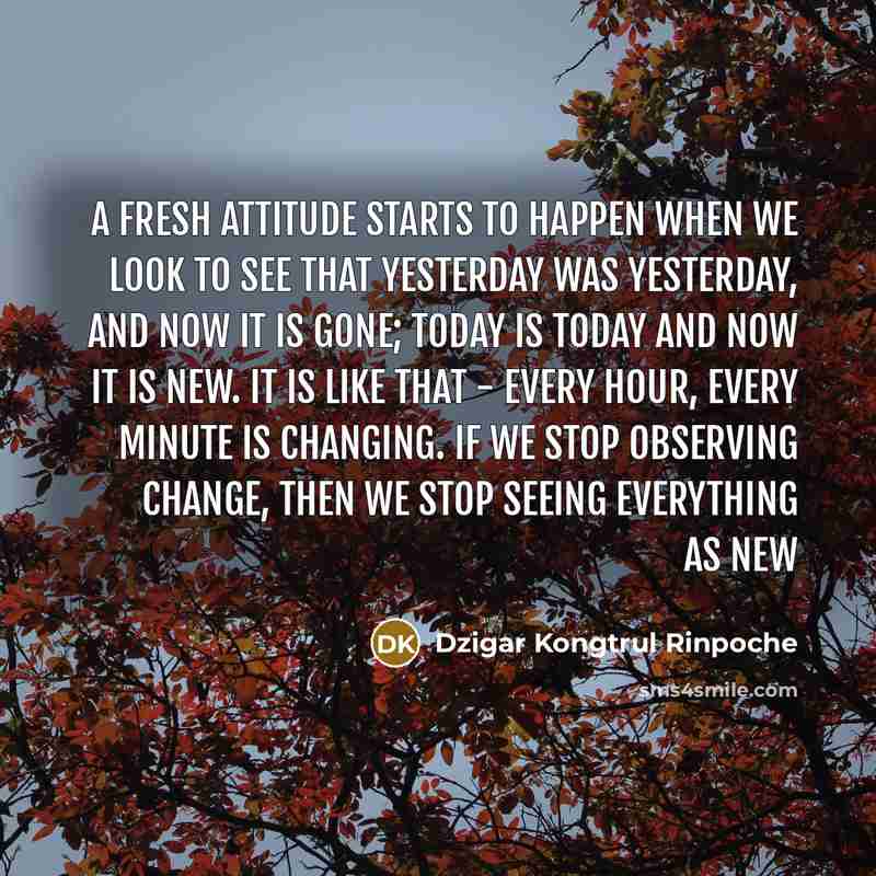 “A fresh attitude starts to happen when we look to…” quote by Dzigar Kongtrul Rinpoche