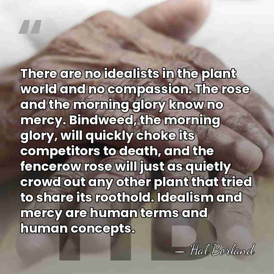 There are no idealists in the plant world and no compassion. The&hellip; - Hal Borland