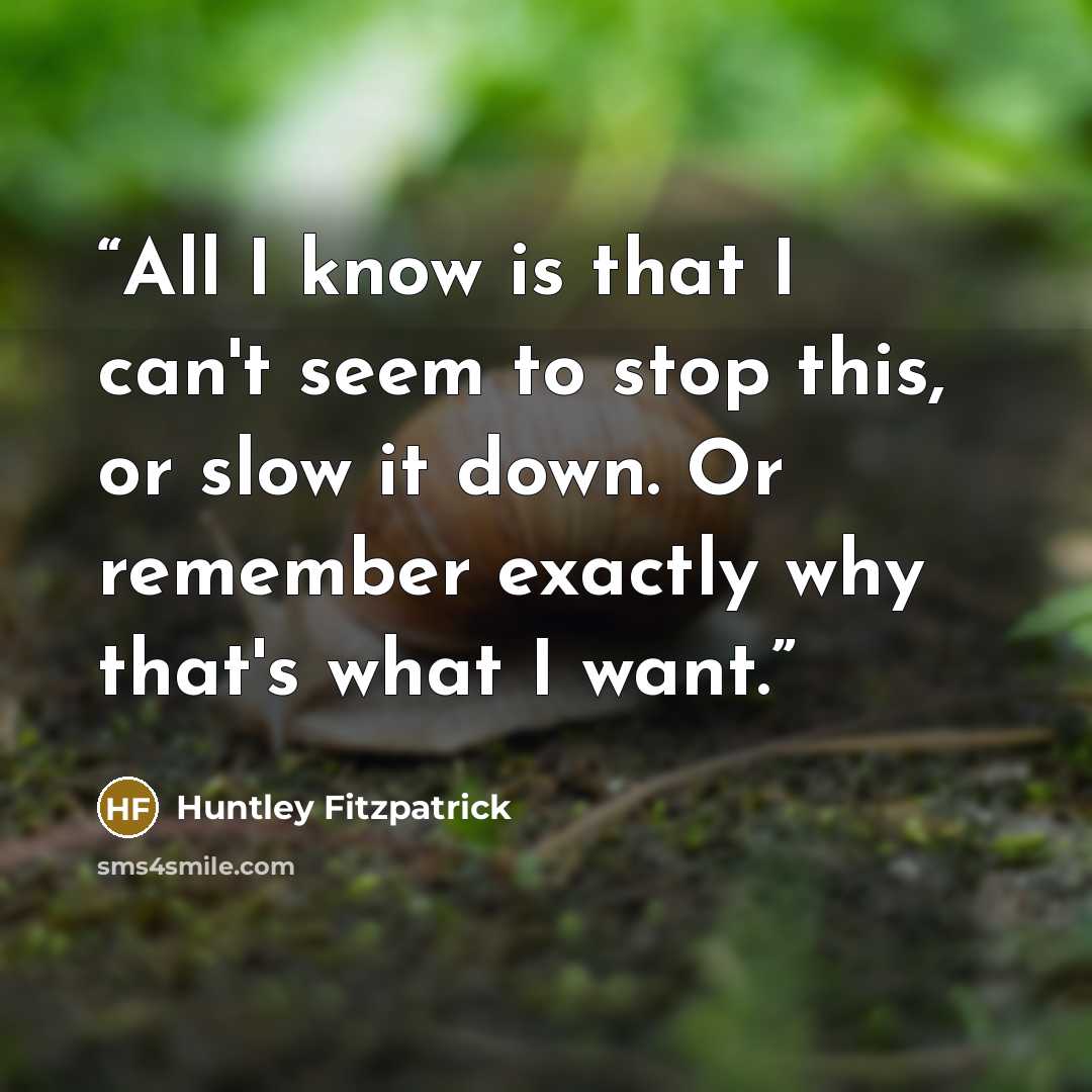 “All I know is that I can't seem to stop this, or slow it down. Or remember exactly why that's what I want.” quote by Huntley Fitzpatrick