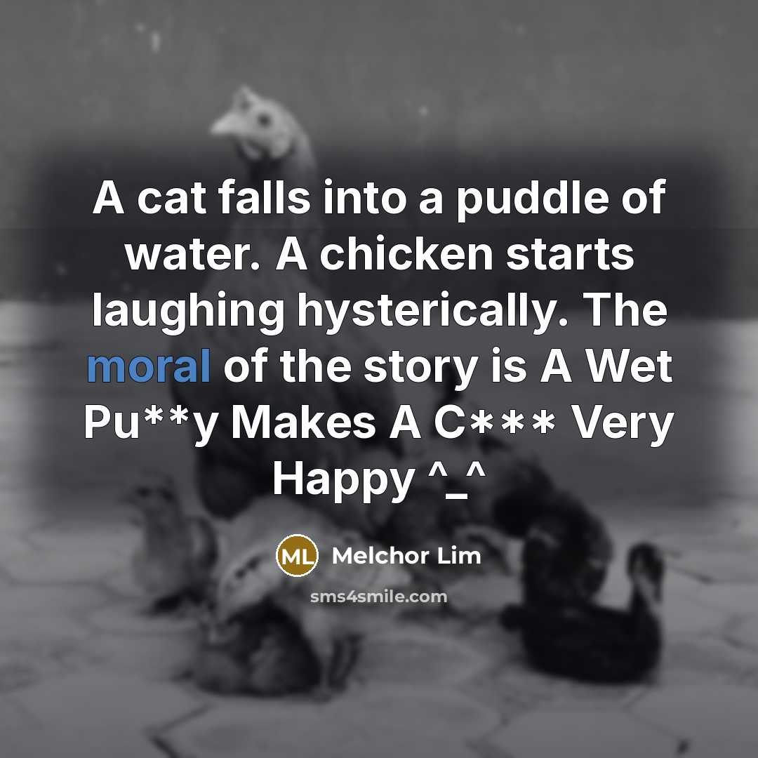 “A cat falls into a puddle of water. A chicken…” quote by Melchor Lim