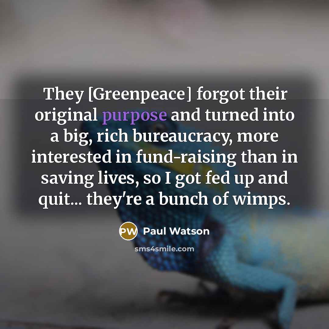“They [Greenpeace] forgot their original purpose and turned into a…” quote by Paul Watson
