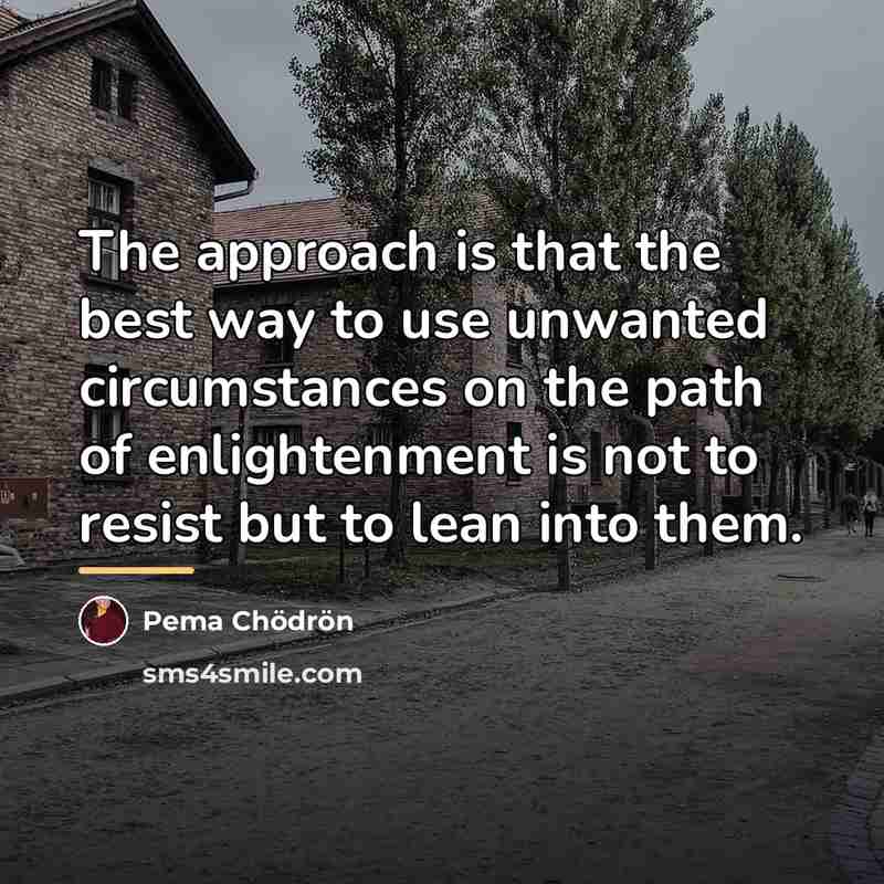 “The approach is that the best way to use unwanted…” quote by Pema Chodron