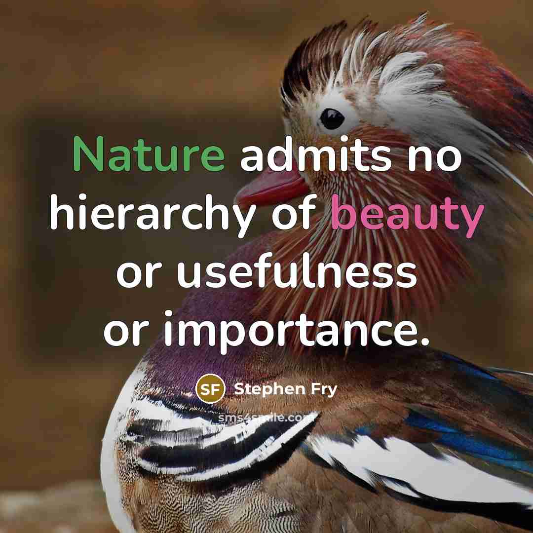 “Nature admits no hierarchy of beauty or usefulness or importance.…” quote by Stephen Fry