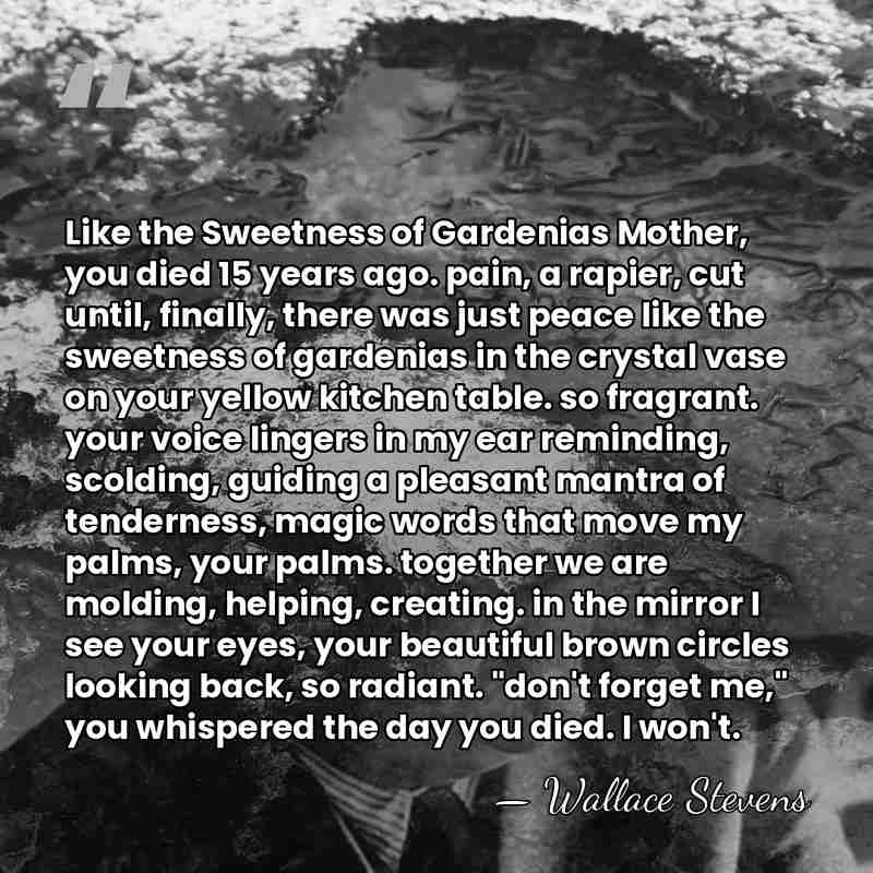 Like the Sweetness of Gardenias Mother, you died 15 years ago. pain,&hellip; - Wallace Stevens