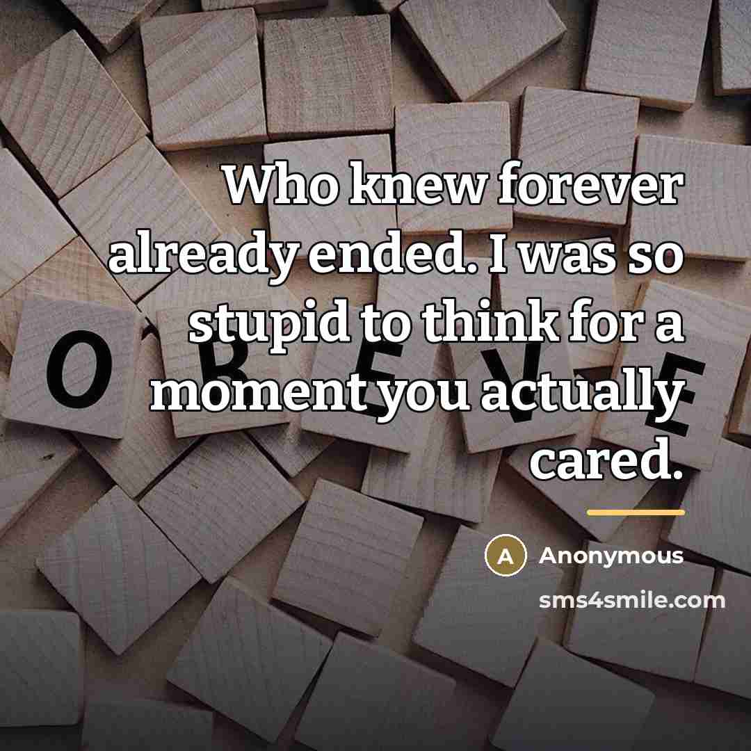 “Who knew forever already ended. I was so stupid to…” quote by Anonymous