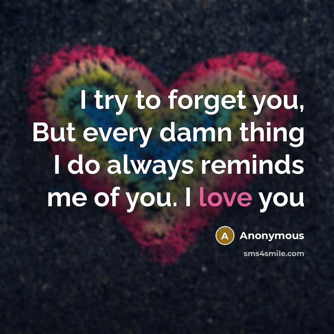 “I try to forget you, But every damn thing I do always reminds me of you. I love you” quote by Anonymous