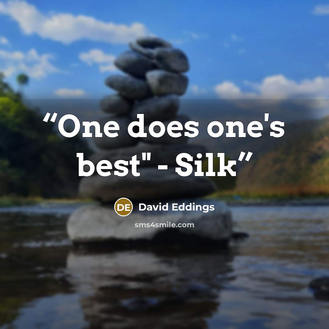 “One does one's best" - Silk” quote by David Eddings