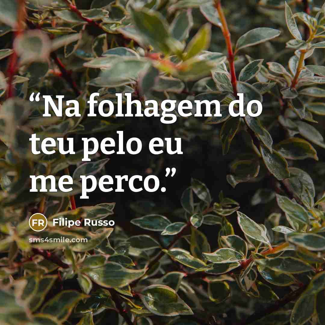 “Na folhagem do teu pelo eu me perco.” quote by Filipe Russo