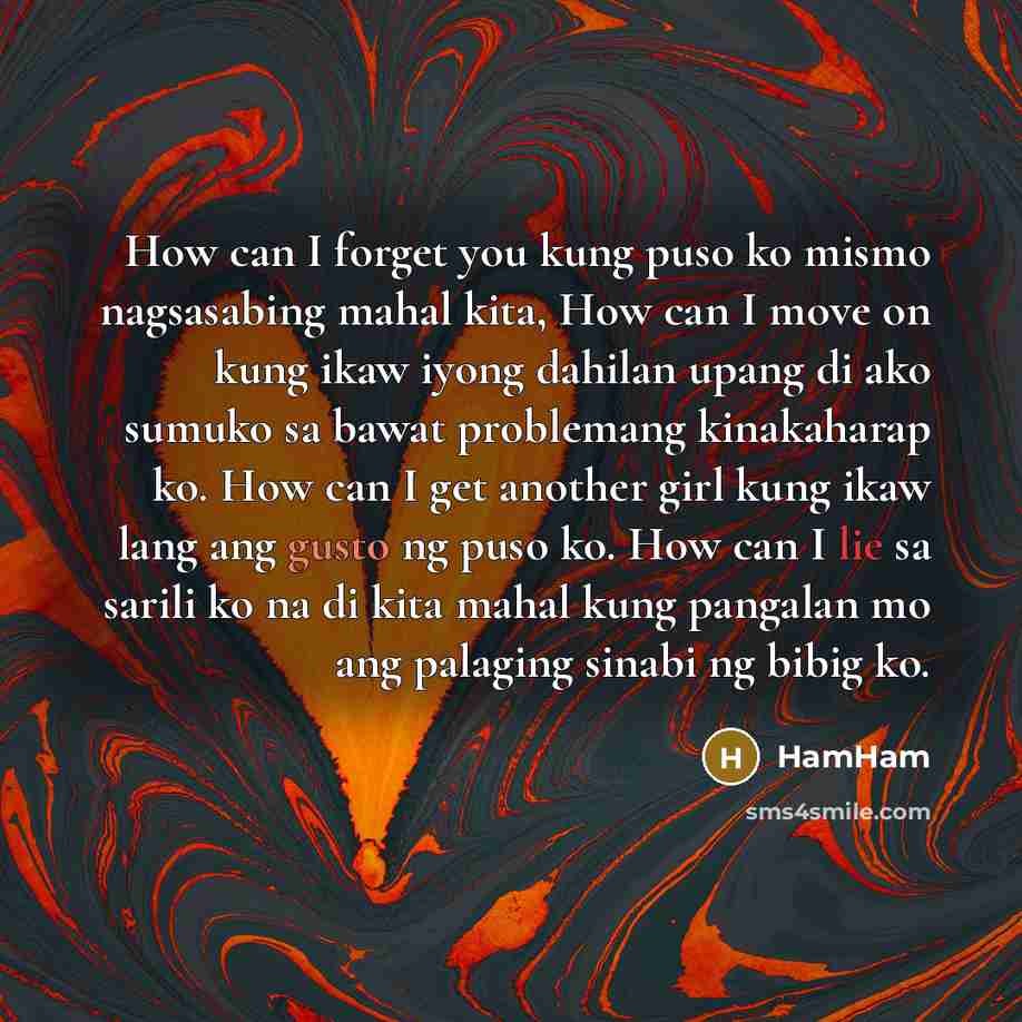“How can I forget you kung puso ko mismo nagsasabing mahal kita, How can I move on kung ikaw iyong dahilan upang di ako sumuko sa bawat problemang kinakaharap ko. How can I get another girl kung ikaw lang ang gusto ng puso ko. How can I lie sa sarili ko na di kita mahal kung pangalan mo ang…” quote by HamHam