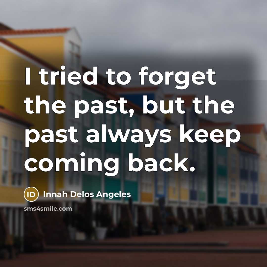 “I tried to forget the past, but the past always…” quote by Innah Delos Angeles