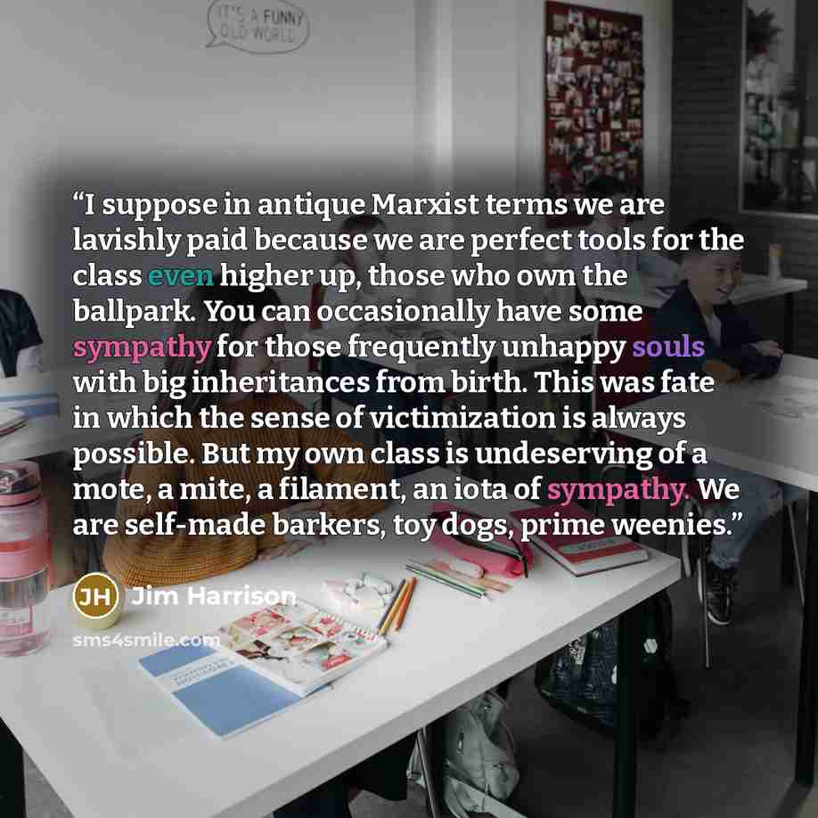 “I suppose in antique Marxist terms we are lavishly paid because we are perfect tools for the class even higher up, those who own the ballpark. You can occasionally have some sympathy for those frequently unhappy souls with big inheritances from birth. This was fate in which the sense of…” quote by Jim Harrison