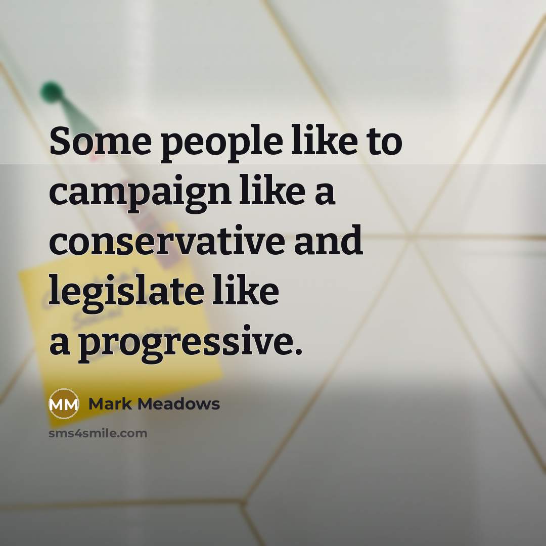 “Some people like to campaign like a conservative and legislate…” quote by Mark Meadows