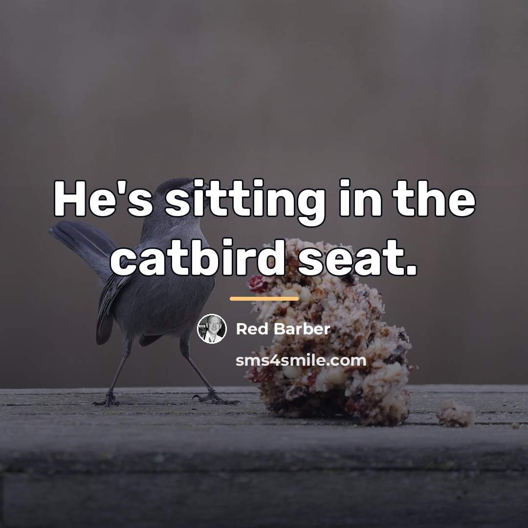 “He's sitting in the catbird seat.…” quote by Red Barber
