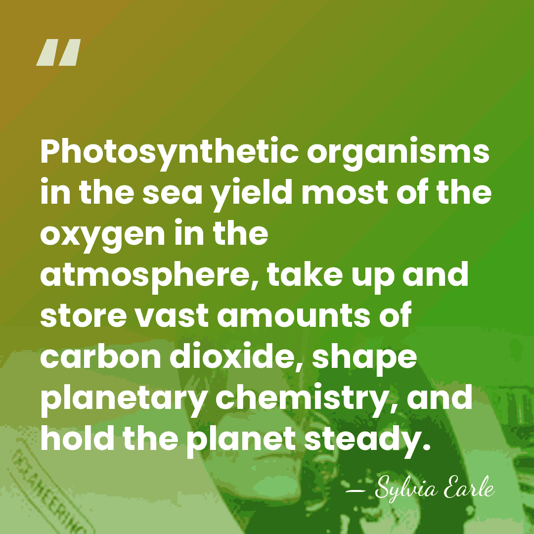 Photosynthetic organisms in the sea yield most of the oxygen in the&hellip; - Sylvia Earle