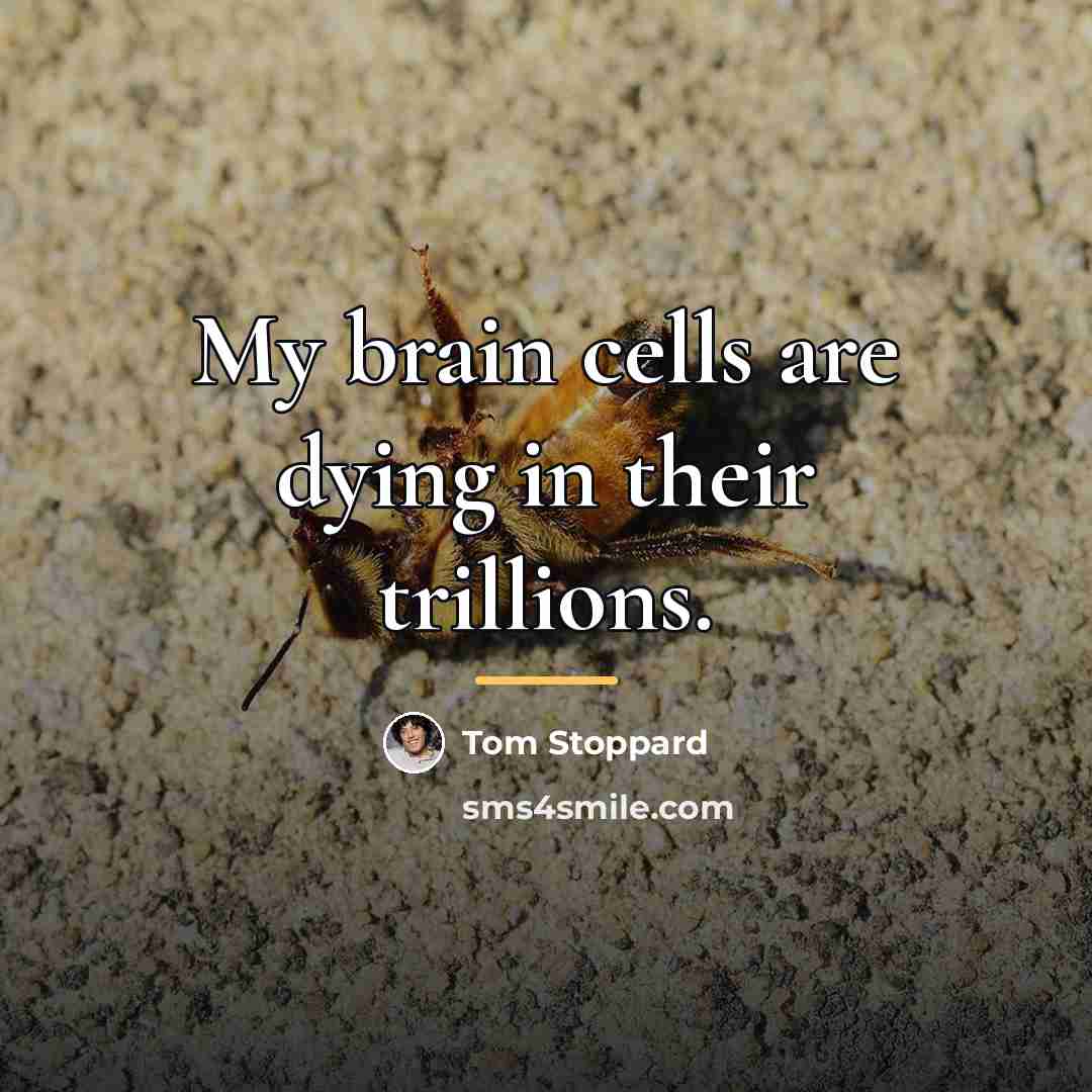 “My brain cells are dying in their trillions.…” quote by Tom Stoppard