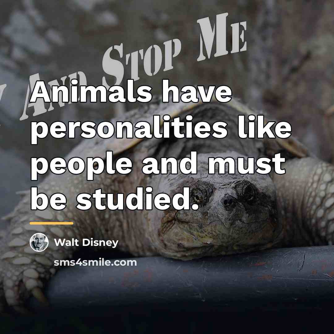“Animals have personalities like people and must be studied.…” quote by Walt Disney